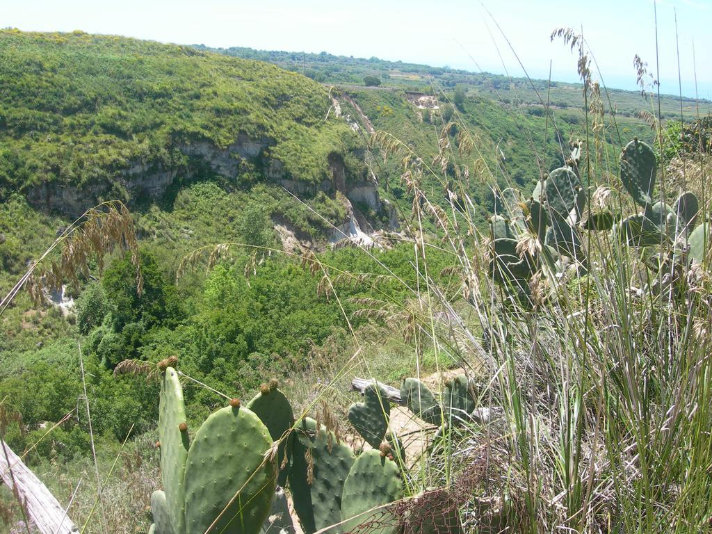 Azienda Agrituristica Carida Zaccanopoli Luaran gambar